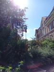 20230810_150514.jpg