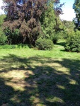 20230810_150327.jpg